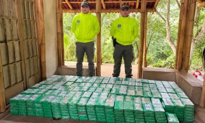 Incautan una tonelada de cocaína en zona rural de Santa Marta