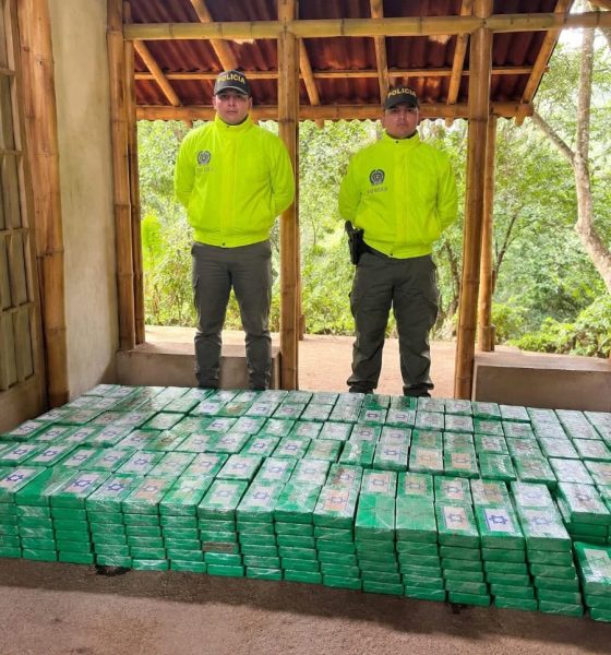 Incautan una tonelada de cocaína en zona rural de Santa Marta