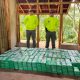 Incautan una tonelada de cocaína en zona rural de Santa Marta