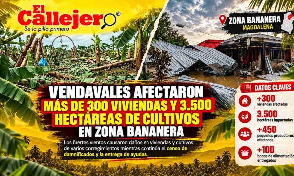 Vendavales afectaron más de 300 viviendas y 3.500 hectáreas de cultivos en Zona Bananera