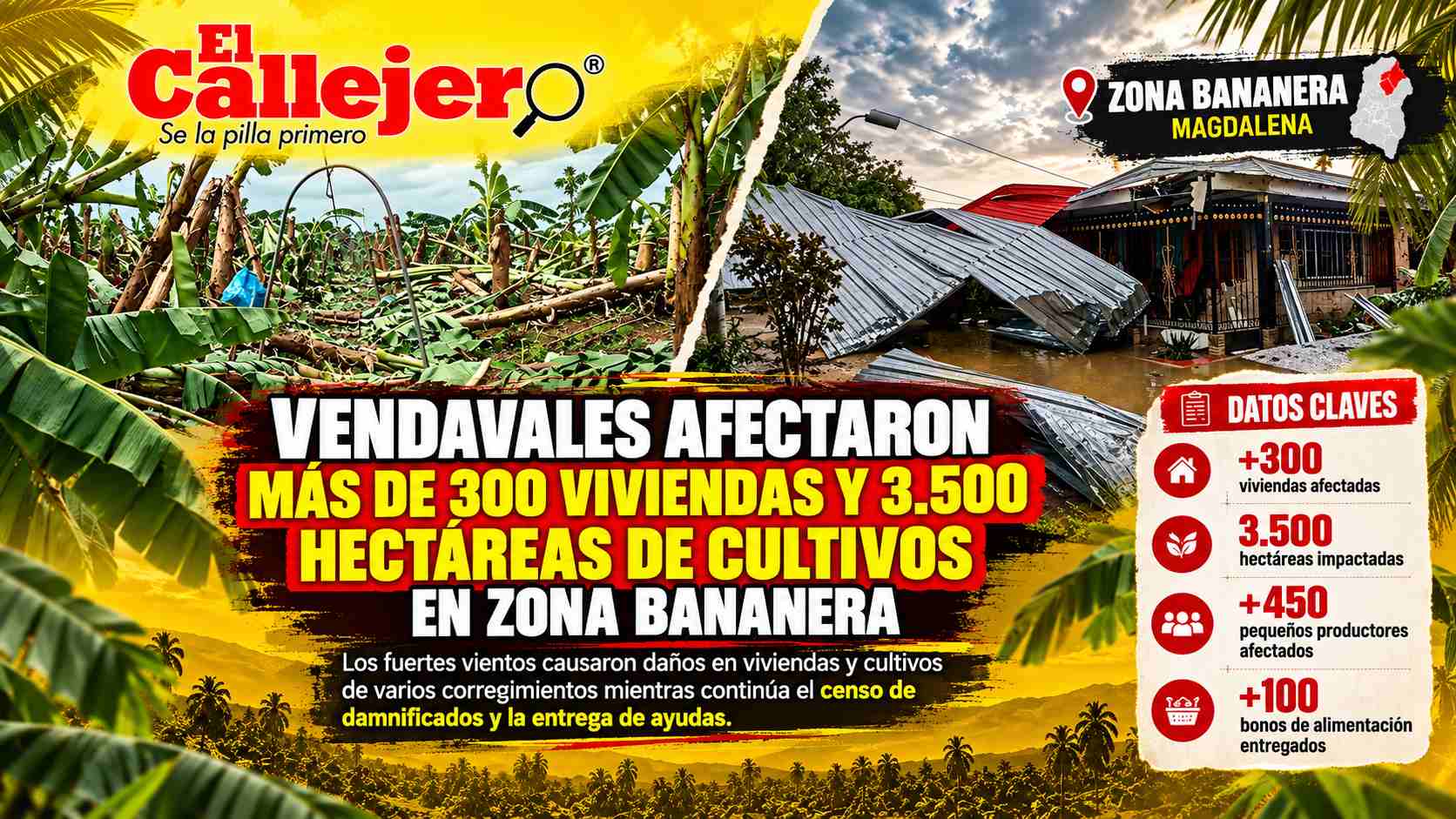Vendavales afectaron más de 300 viviendas y 3.500 hectáreas de cultivos en Zona Bananera